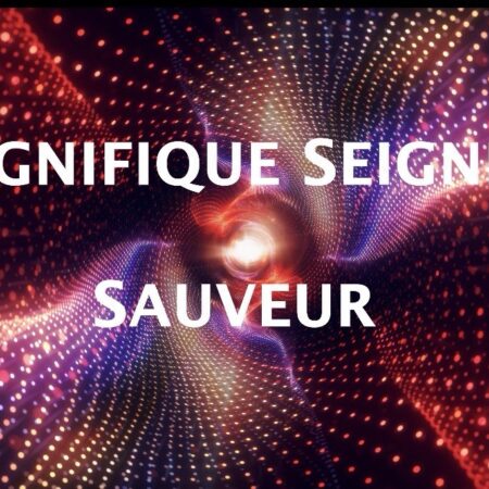 MAGNIFIQUE SEIGNEUR